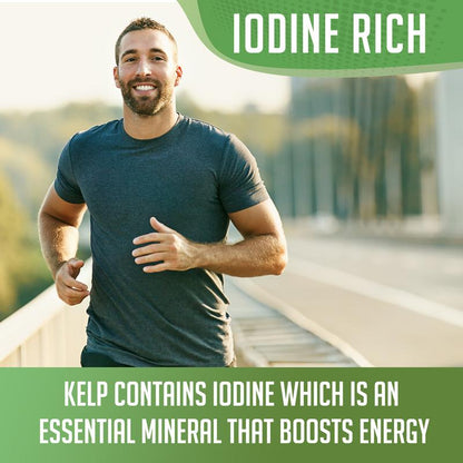 Organic Kelp Powder
